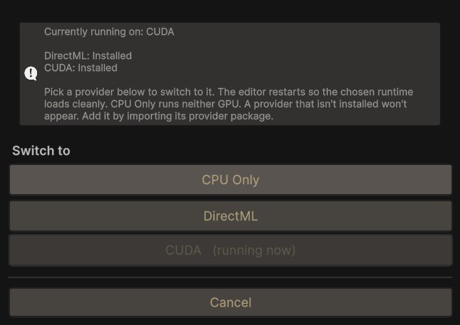 The Execution Provider window